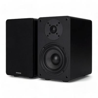 Altoparlant Hi-Fi AIWA SP-A100