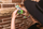 Aparat digjital për fëmijë Kiimento Disney Model A Buzz Lightyear, 48MP, 16GB, jeshil
