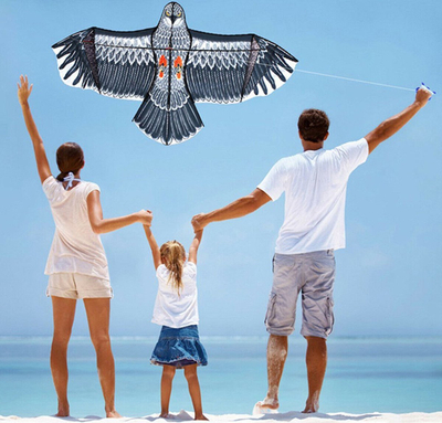 Fluturë ajri AG667C Kite XXL Shqiponjë, 200 cm, me dorezë edhe litar, shumëngjyrëshe