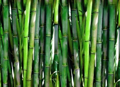 Dozator sapuni Bamboo pa firmë, 350 ml, bambu edhe polipropilen, i zi me kafe