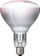 Грејна сијалица Philips BR125 IR, 150W, E27, проѕирно стакло
