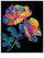 Set kreativ Diamond Dotz Neon Flowers, Diamond Painting, shumëngjyrësh
