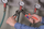 Pinca tuba Knipex Alligator 88 05 250-300, të rregullueshme, doreza komode, shumëngjyrëshe