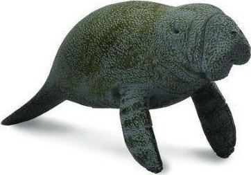 Figurinë lodër Collecta fokë elefant e vogël duke notu, plastike, shumëngjyrëshe
