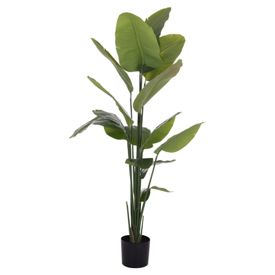 Bimë dekorative sintetike HM4739 Strelitzia, 172cm, me vazo 18cm, në vazo të zezë