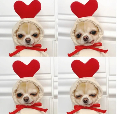 Kostum për kafshë shtëpiake Hutini, L, i bardhë 565