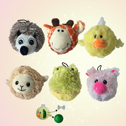 Product Picture