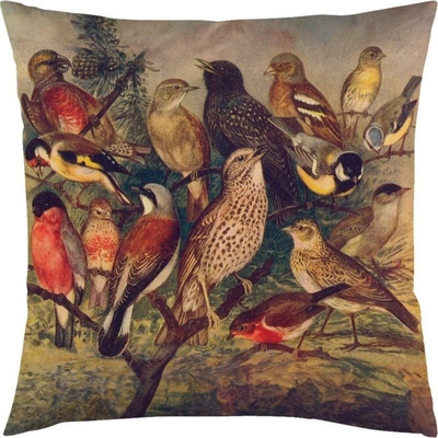 Jastëk dekor Skona Ting Birds, 50x50 cm, me zogj, shumëngjyrësh