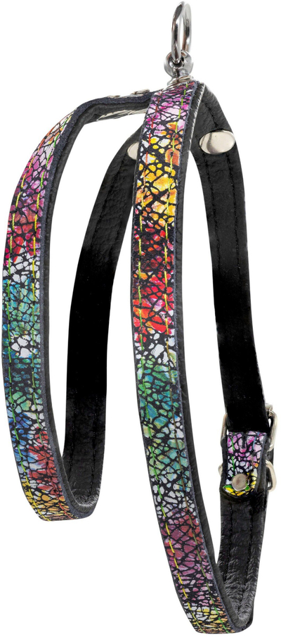 Parzmore qeni Barry King Leather Flowers XS S, lëkurë natyrale, 12mm 40cm, shumëngjyrëshe