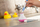 Mbajtëse furçe dhëmbësh Quirky Timer Bobble Brush, me kohëmatës 2 minuta, blu