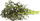 Fara bimore Click and Grow Red Frilly Mustard, pako me 3 copë, për Smart Garden, jeshile