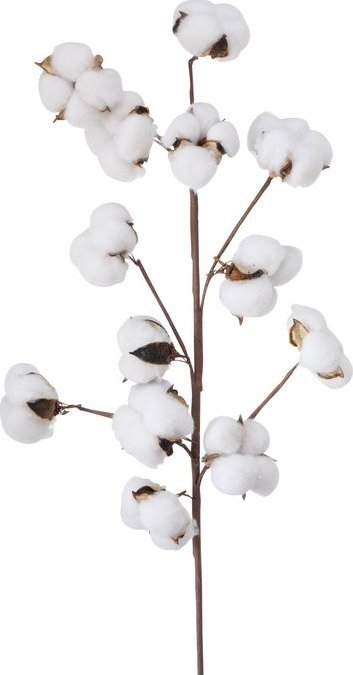 Degë dekorative BOLTZE Cotton, pambuk artificial, e bardhë