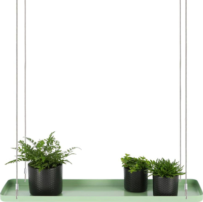 Tabaka varëse për bimë Esschert Design L, drejtkëndëshe, metal, jeshile