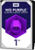 Hard Disk WD (PURZ) - 1TB