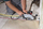 Sharrë elektrike Flex CS60 WET, 1400W, shinë udhëzuese 800mm, e kuqe