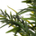 Bimë dekorative sintetike HM4737 Bamboo, 200cm, me vazo, jeshile