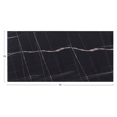 Pllakë tavoline Werzalit 120×80 "HM5630.13",