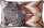 Jastëk dekorativ Eurofirany 404803, 45x30cm, motiv zebre, beige burgundy