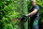 Gërshërë gardhi Metabo HS 18 LTX BL 55, brushless, me dorezë që rrotullohet