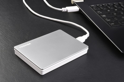 Disk i jashtëm HDD Toshiba Canvio Flex 2TB, i hirtë