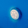 Dritë pishine Gre LEDRC, LED, 16 cm, bojëbardhë blumarin