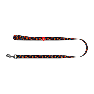 Litar për qen Waudog Nylon Oranges, 122 cm, shumëngjyrësh