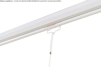 Ekran projektori Avtek Wall Standard 175