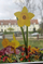 Set dekorimi Teka Spring Flowers Daffodils, 3 copë, shumengjyresh