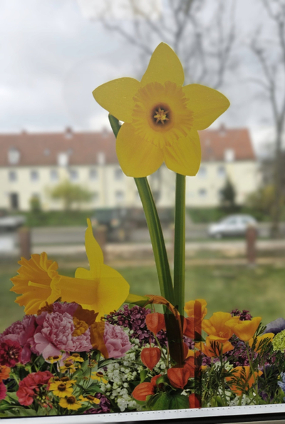 Set dekorimi Teka Spring Flowers Daffodils, 3 copë, shumengjyresh