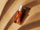 Масло за тело со сјај Moroccanoil Original, со масло од арган, 50 ml, за жени