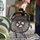 Set aksesorësh pice Philips HD9953/00, për Airfryer XXL, i zi