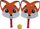 Set raketash shkumë Nicola Toys Fox me top, për kalamaj, shumëngjyrësh