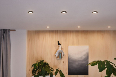Spot tavan Paulmann Calla Rond 92461, LED 6W, IP65 4000K, i zi mat