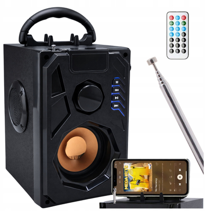 Kuti zëri portative Bluetooth, radio FM, hyrje mikrofon karaoke, e zezë