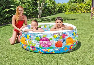 Pishinë me fryrje Intex Aquarium 60\" x 22\", për të rritur dhe kalamaj, shumëngjyrëshe