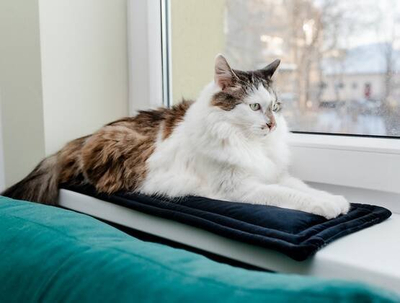 Tapet për dritare për mace Warm Window Sill Velvet, 25x70cm, i zi