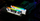 Memorie RAM Kingston FURY Renegade White RGB, 32GB, DDR5, 6000 MT/s, CL32, e bardhë