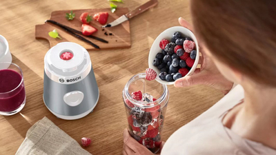 Blender Bosch MMB2111T, 0.8 L, i argjendtë