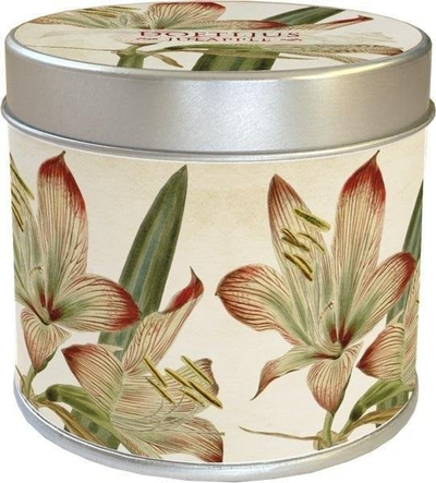 Qiri aromatik Skona Ting 202, 205g, aromë amaryllis dhe mollë, i bardhë