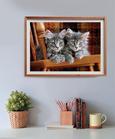 Puzzle Clementoni 35580 “Kittens”, 500 copa, me shumë ngjyra