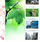 Album muror për foto Caiul SB6662, 5 foto 11x8cm, transparent