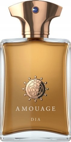 Парфем Амуаж Диа Пур Ом, парфемска вода, 100 ml, за мажи