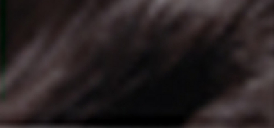 Ngjyrë për flokë Loreal Paris
