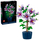 Set ndërtimi lule Hibiscus, lodër kreative, shumëngjyrëshe