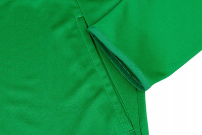 Bluzë me zinxhir Nike Dri-FIT Park 20 Track FJ3022 302, për burra, poliestër, Dri-FIT, e gjelbër
