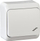 Çelës shkalle Schneider Electric WNt-600P WDE001060, IP20, montim sipërfaqësor, i bardhë