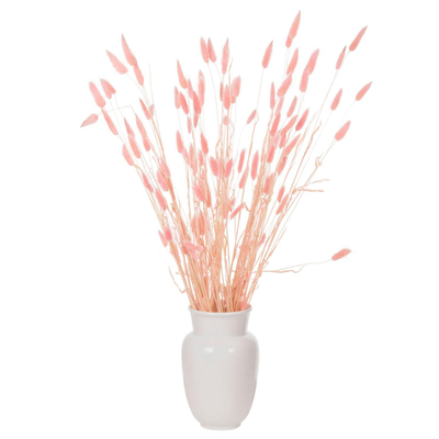 Buqetë e tharë dekorative Rabbit Tail 75cm (HM7960), rozë