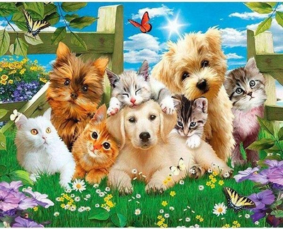 Set mozaik me diamante Norimpex 5D Dogs And Cats, 40x30 cm, shumëngjyrësh