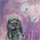 Magnet dekorativ Alex Clark FM206 Bunny, i ilustruar, lejla