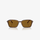 Ray-Ban RB2231 141833 58